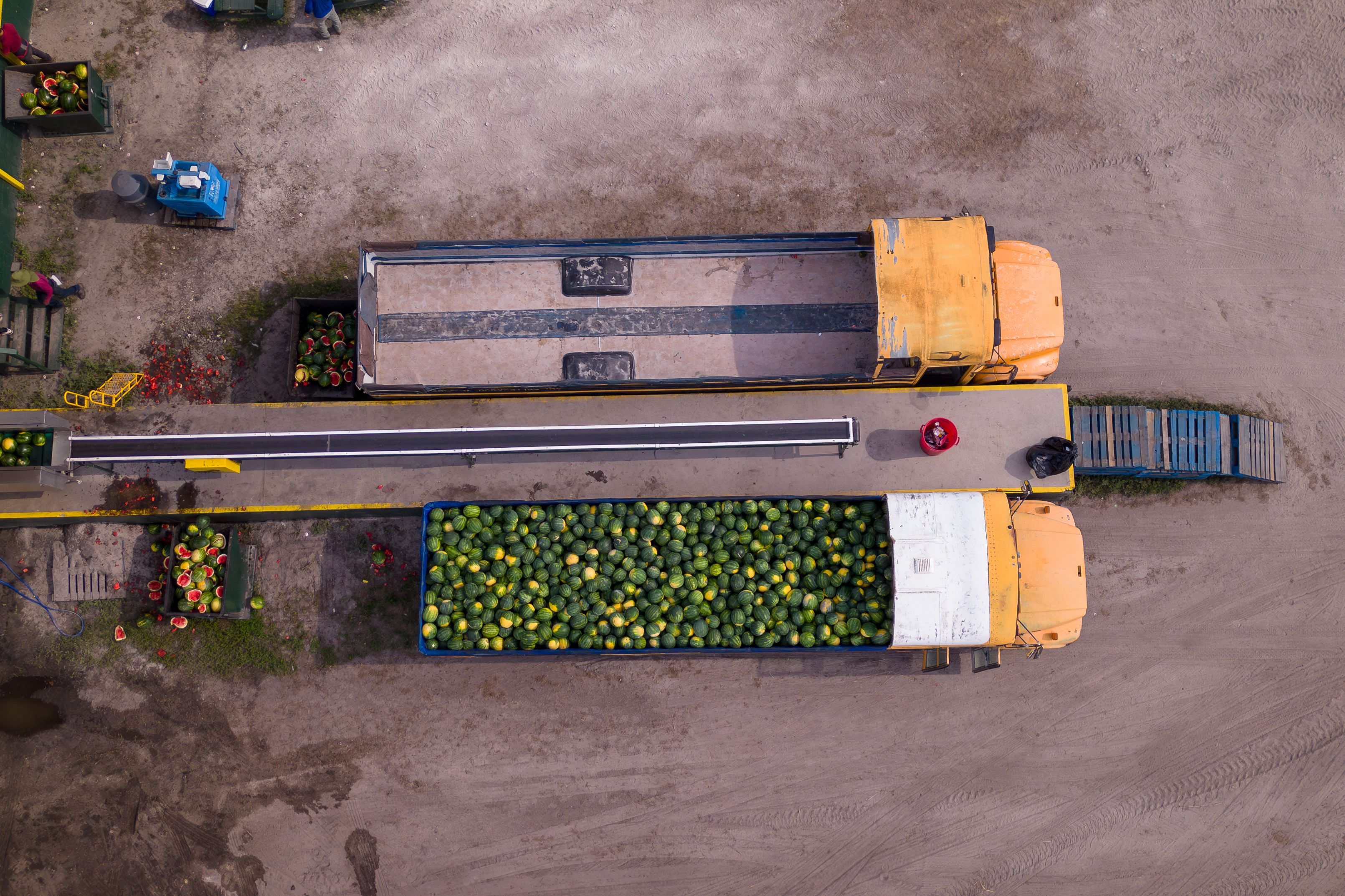 Vista aérea del transporte de la cosecha de sandía  | iStock