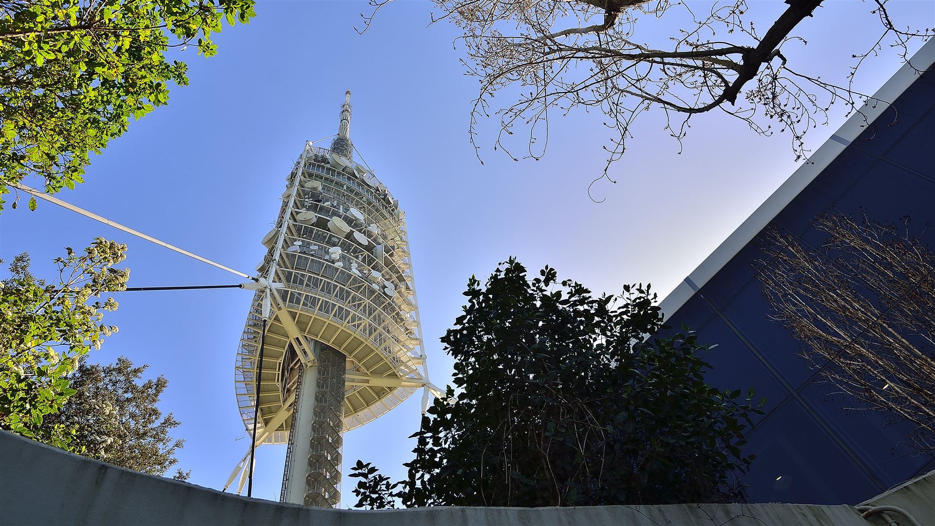 Imatge de la torre de Collserola | Cedida