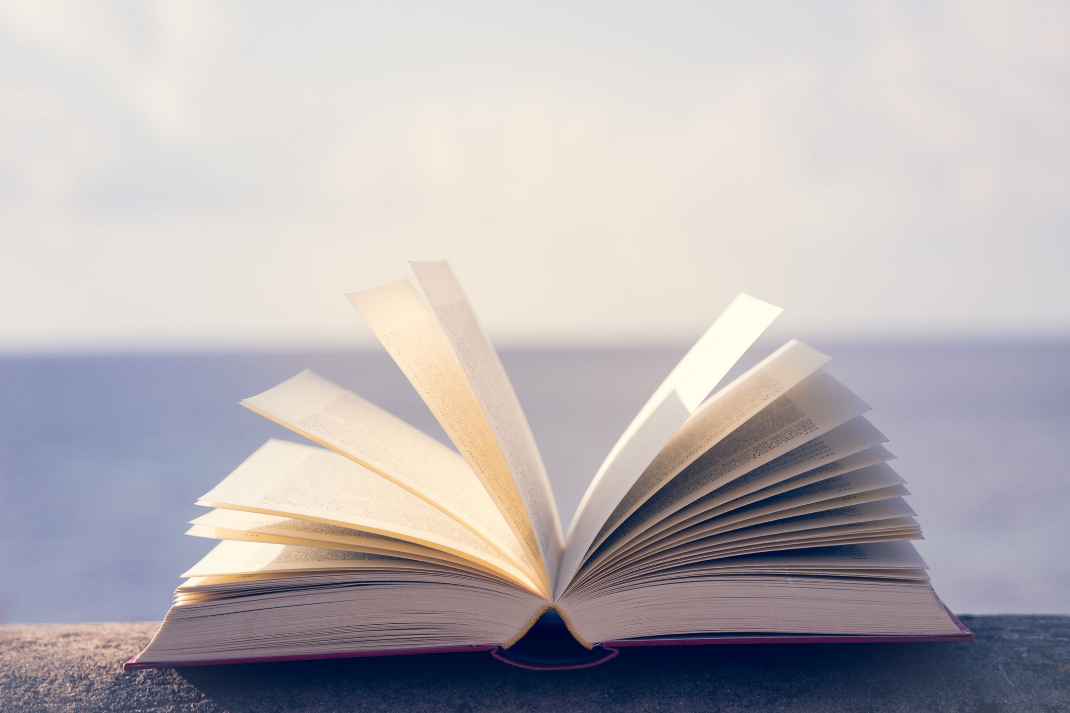 Llibres d’empresa per aquest estiu | iStock