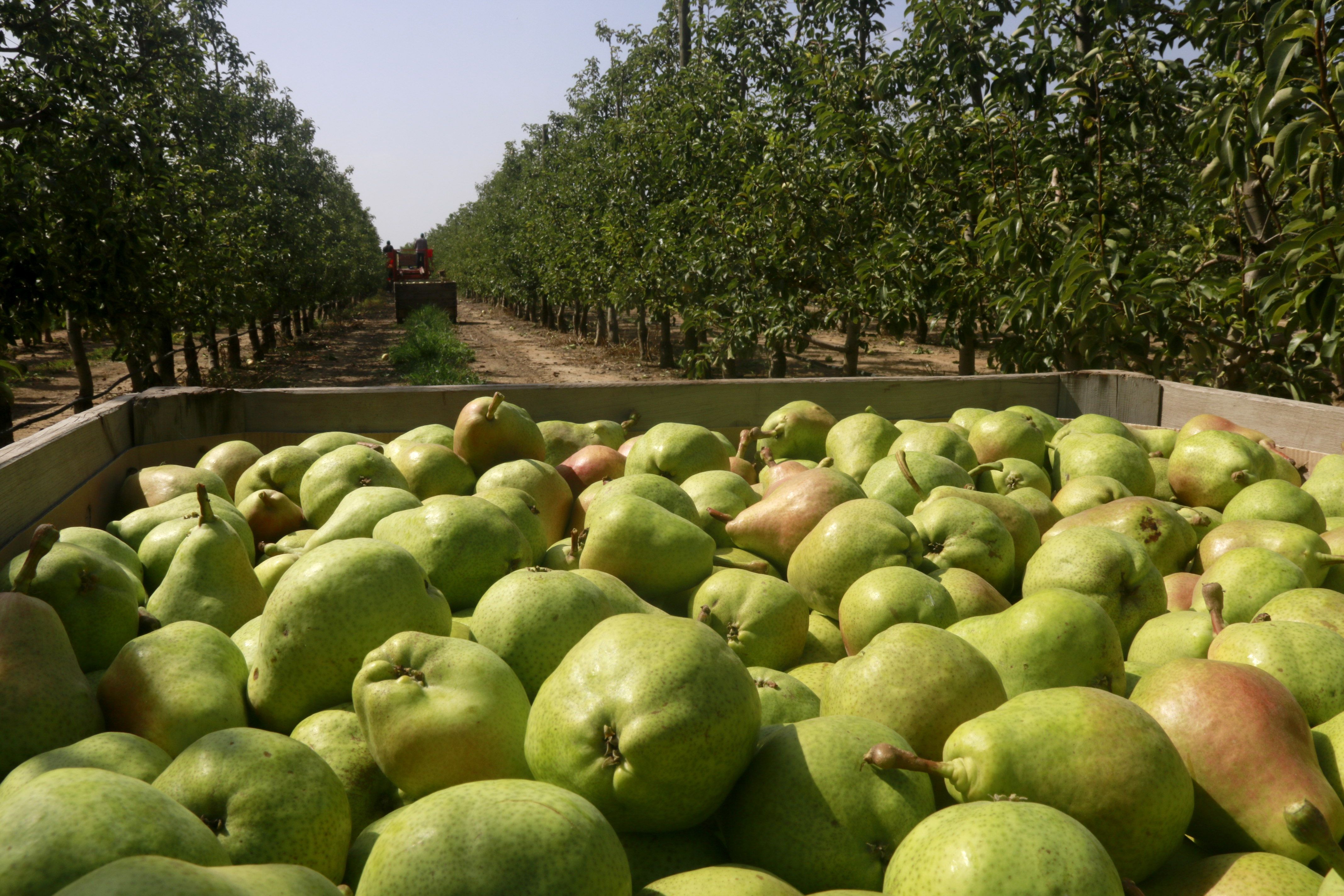 Imatge d'una finca a la comarca de la Noguera | ACN 