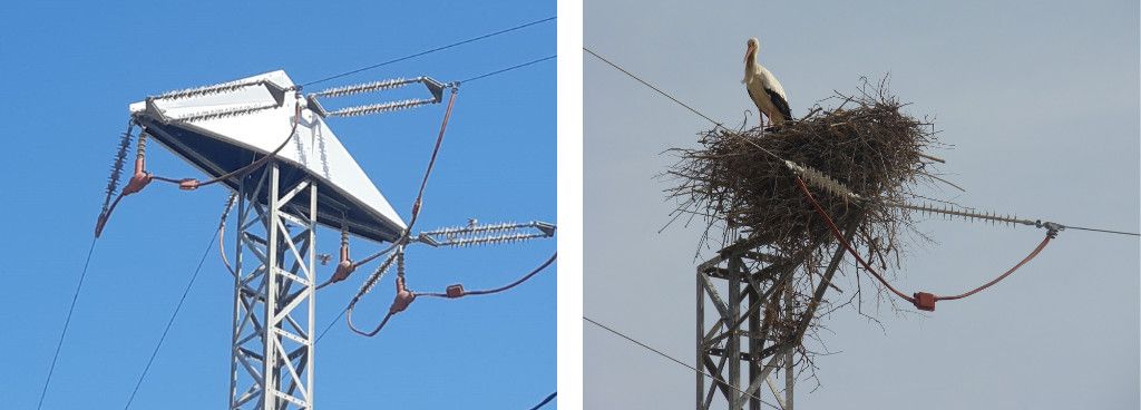 A la izquierda, el prototipo instalado por Endesa en el Pla d'Urgell para evitar que cigüeñas hagan el nido en torres eléctricas y se electrocuten | Cedida