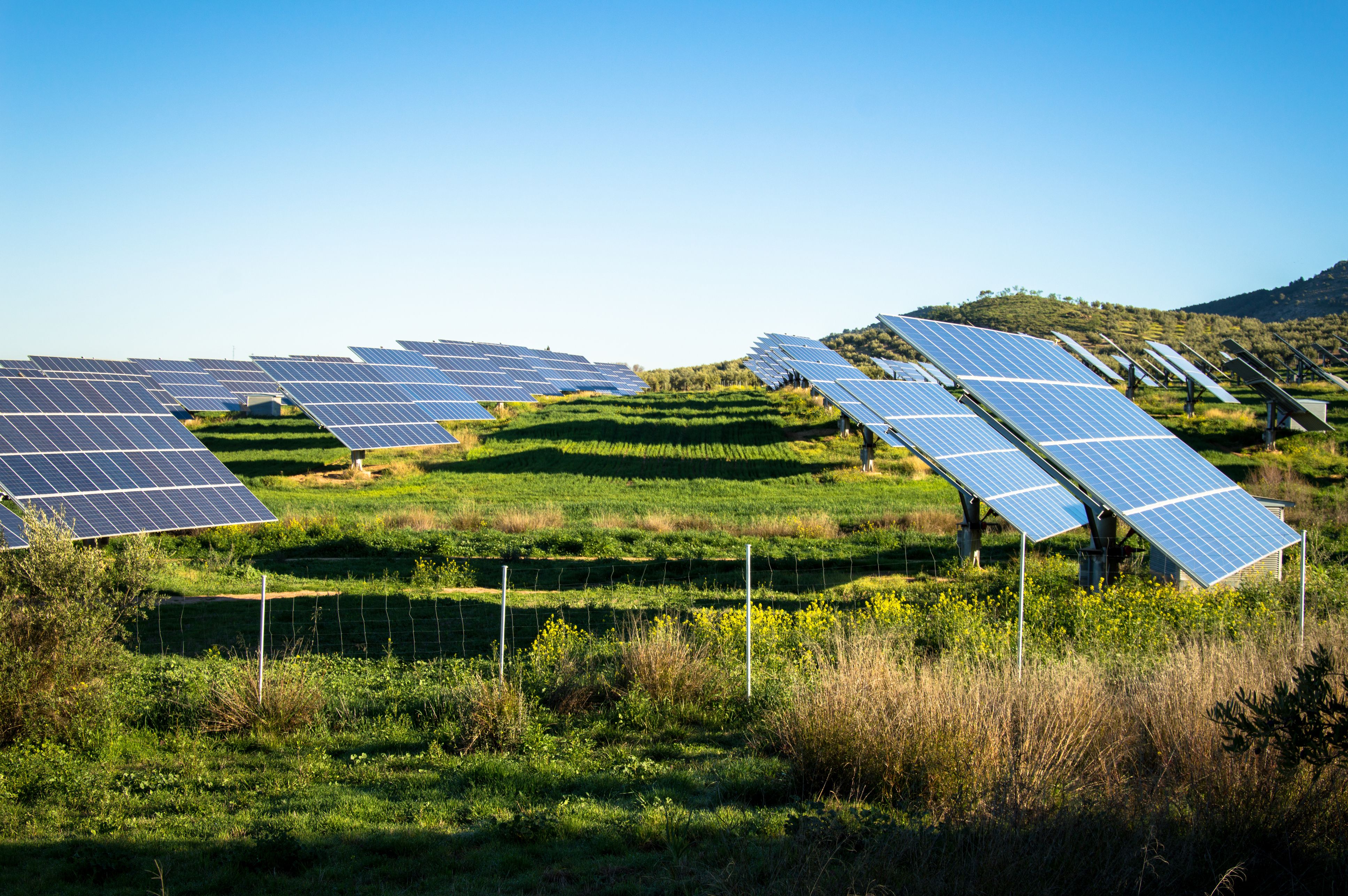 Imatge d'arxiu d'un parc solar | iStock