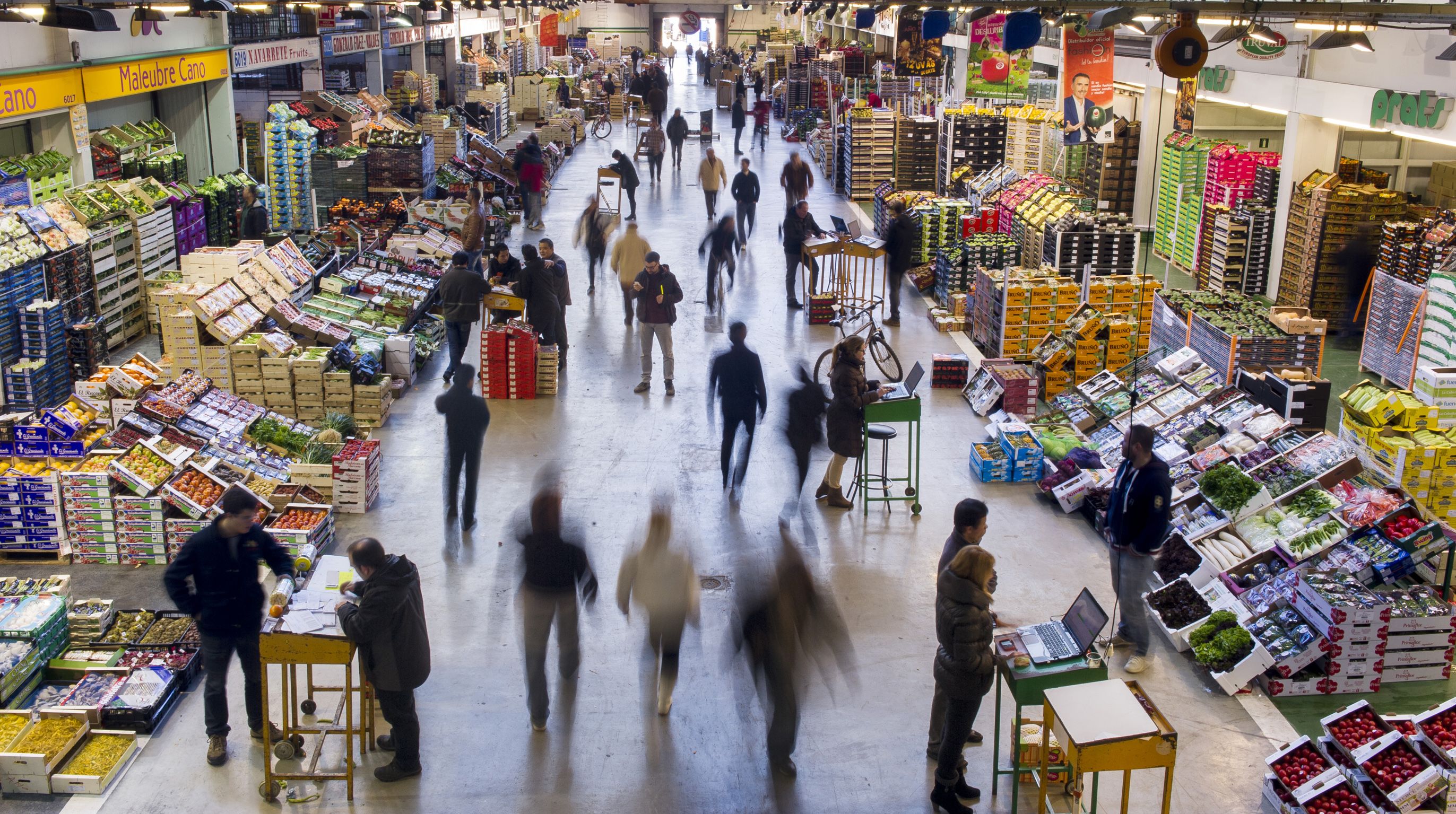 El mercado central de Mercabarna | Cedida