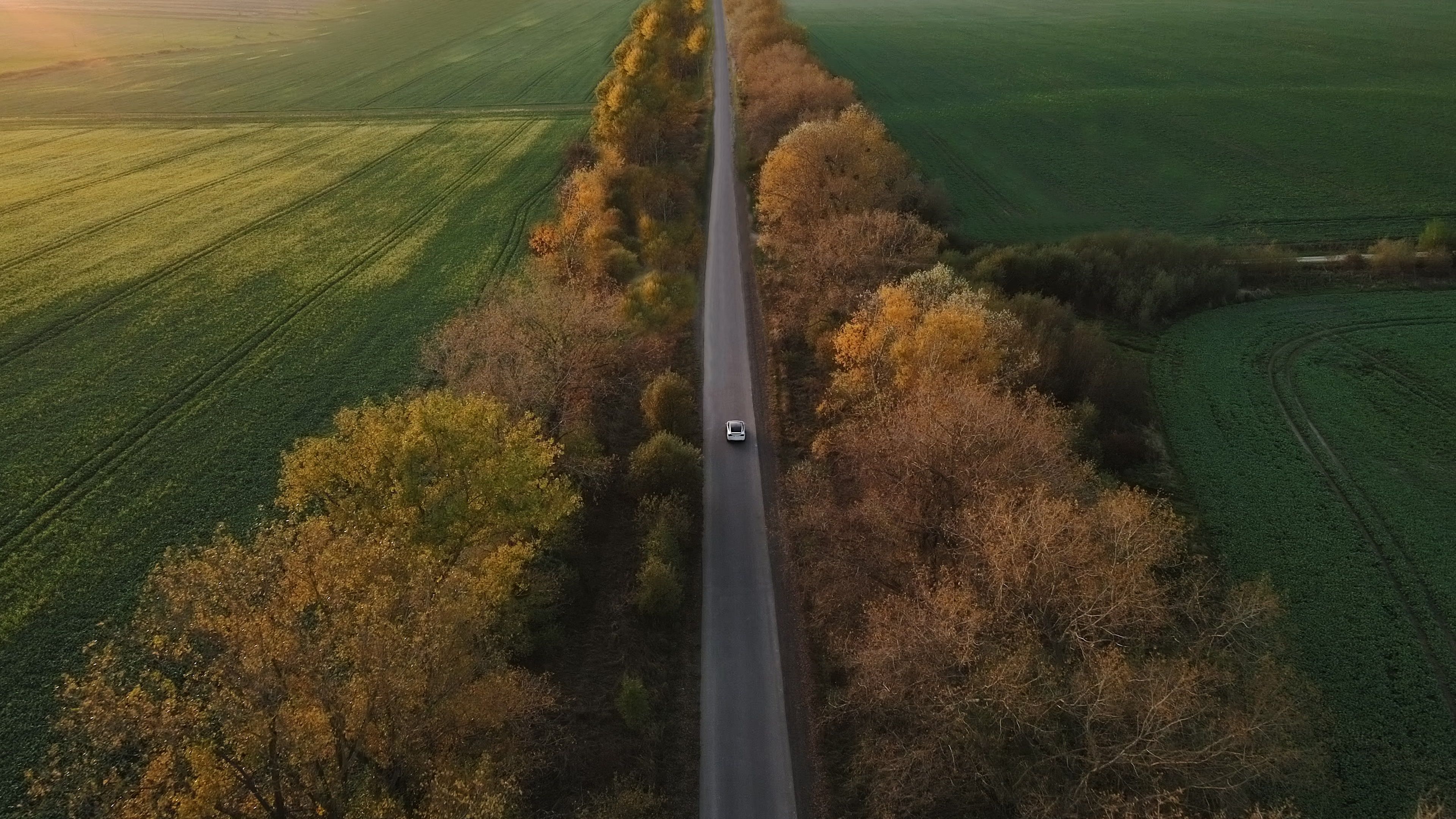 El peso del coche eléctrico en Europa | iStock