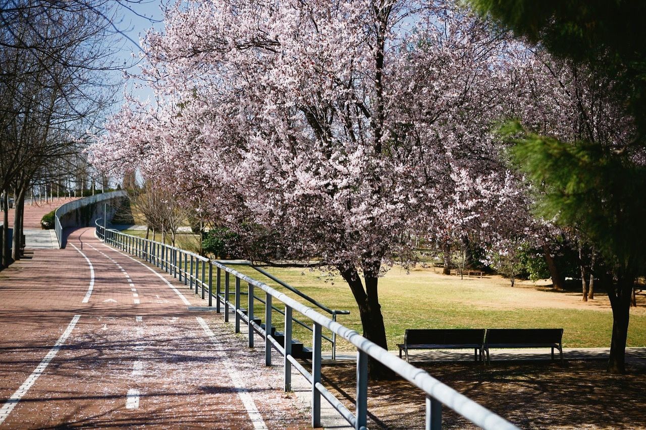 Imagen de un parque de Sant Cugat del Vallès | Tot Sant Cugat