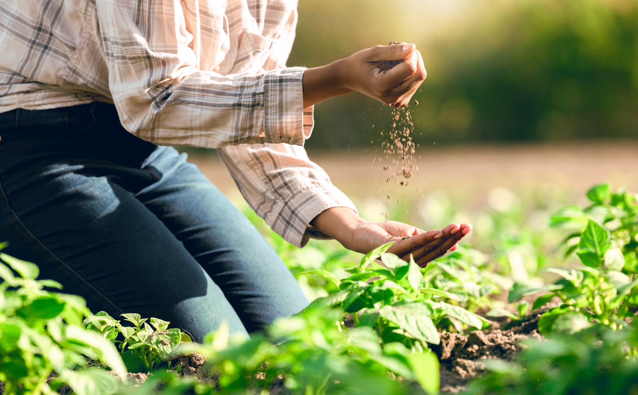 El 'I Congrés Dones del Món Rural', se celebrarà el pròxim 16 de novembre | iStock