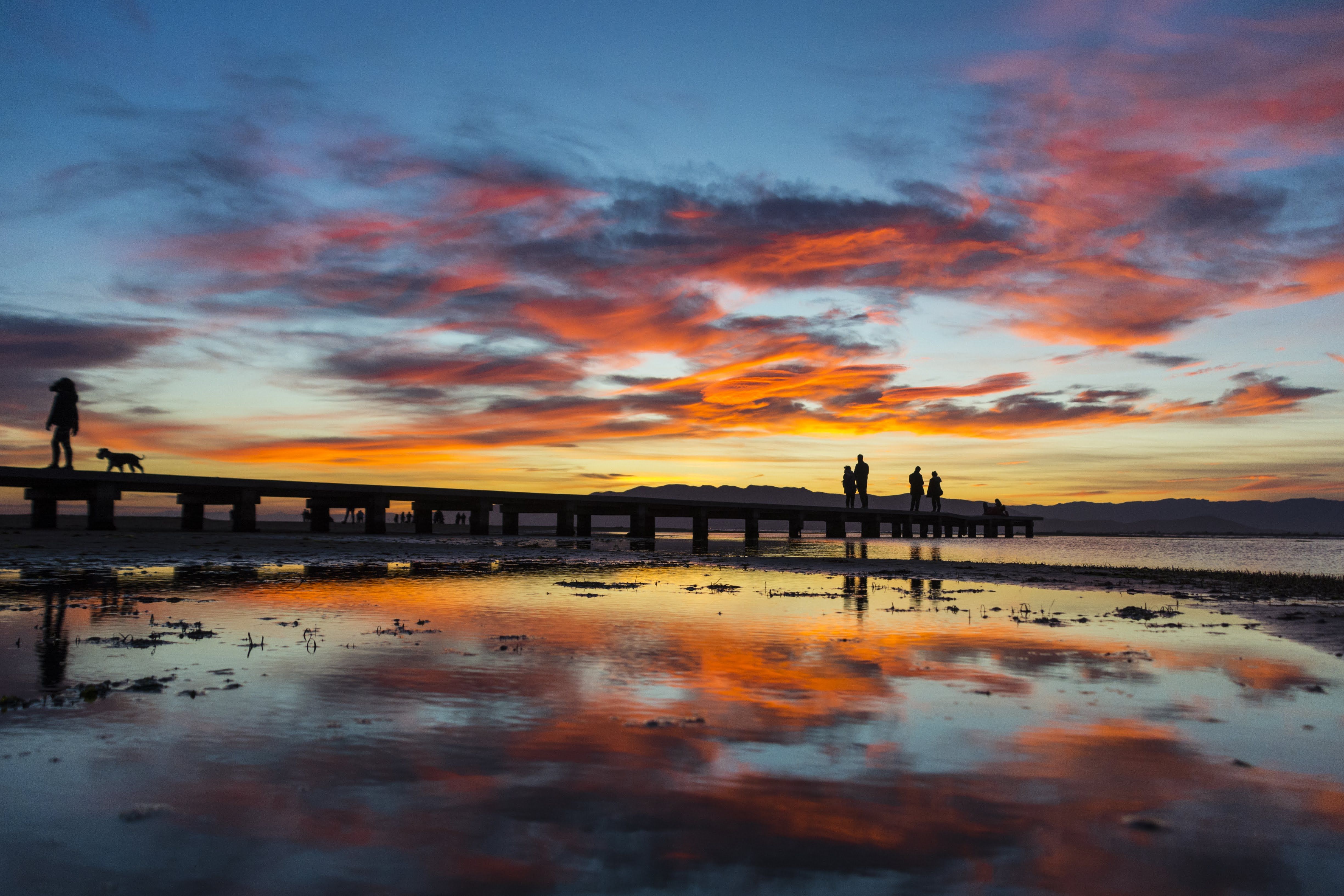 La playa del Trabucador en el Delta del Ebro | iStock