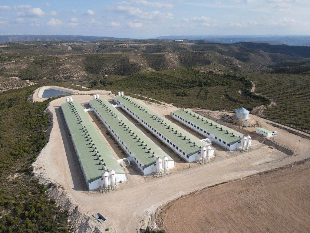 Les macrogranges catalanes van emetre 30.665 tones de metà a l’atmosfera el 2022 | Premier Pigs