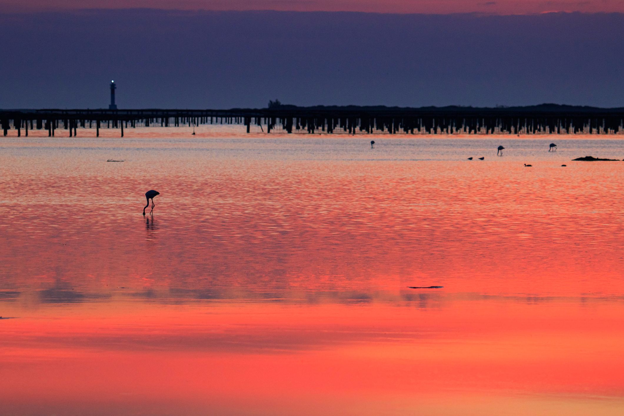 El Delta del Ebro durante el atardecer | iStock