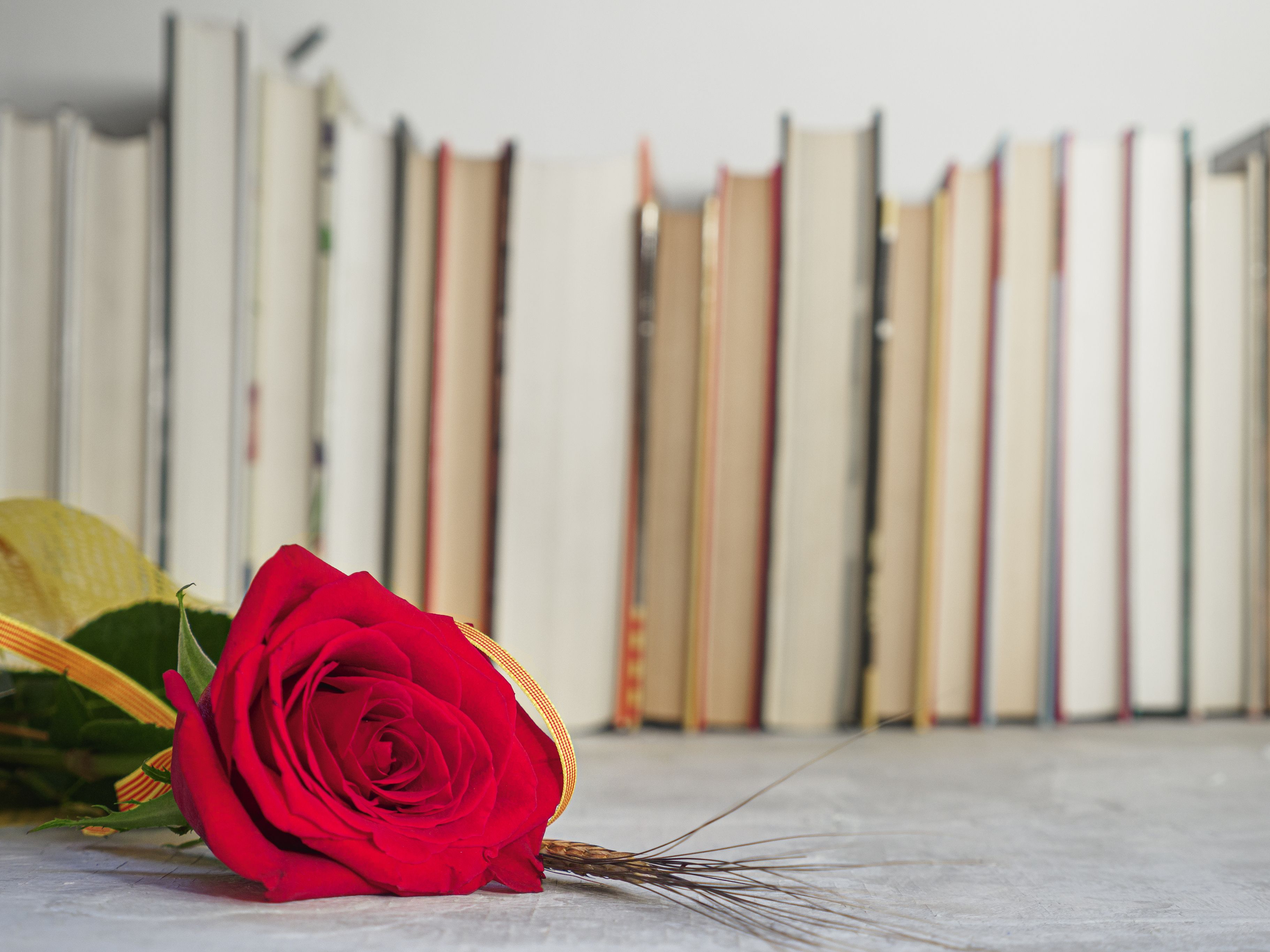 Sant Jordi es un momento ideal para regalar lecturas sobre economía | iStock