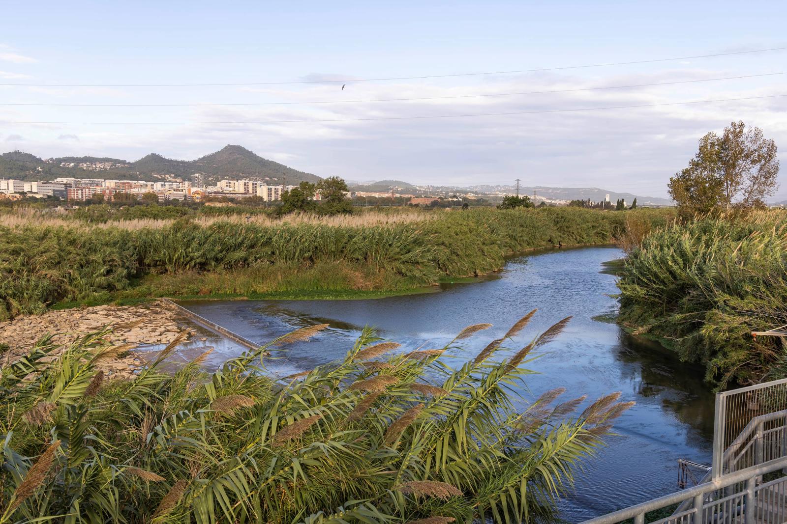 El riu Llobregat, al seu pas per Sant Joan Despí | Cedida