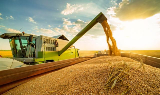 Bunge és una empresa americana que se gobierna desde su sede operativa en la ciudad de Saint Louis | Cedida