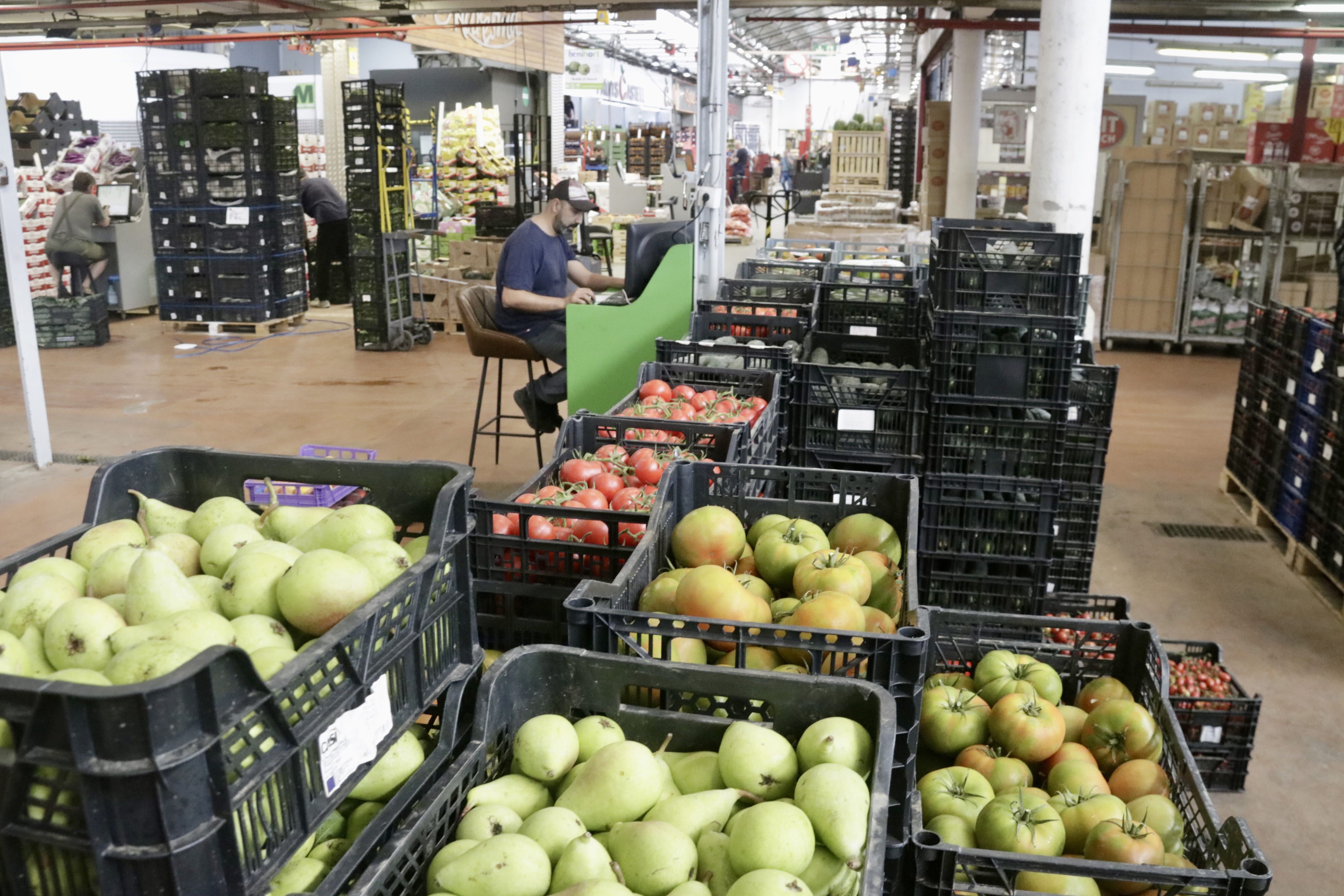 Un dels pavellons del mercat de fruita i hortalissa de Mercabarna | ACN