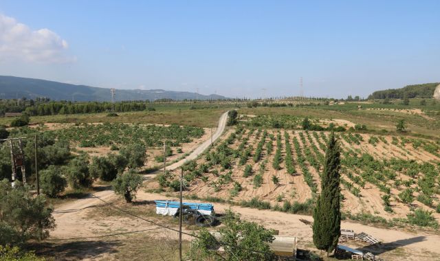 Conreus de Gelida on Ametller Origen projecta l'Agroparc Penedès | ACN