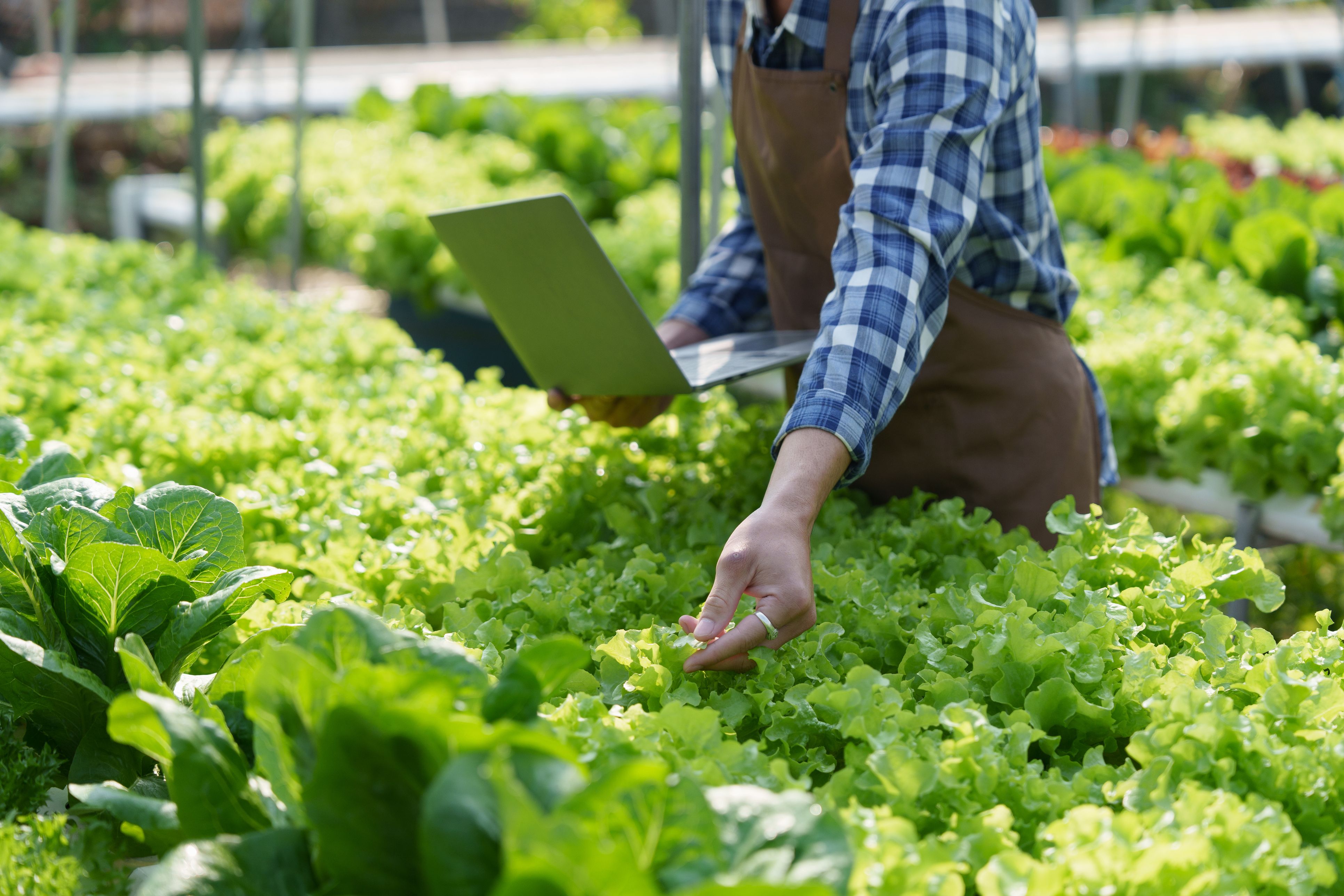 La industria alimentaria tiene un VAB a precios básicos del 3,07% | iStock