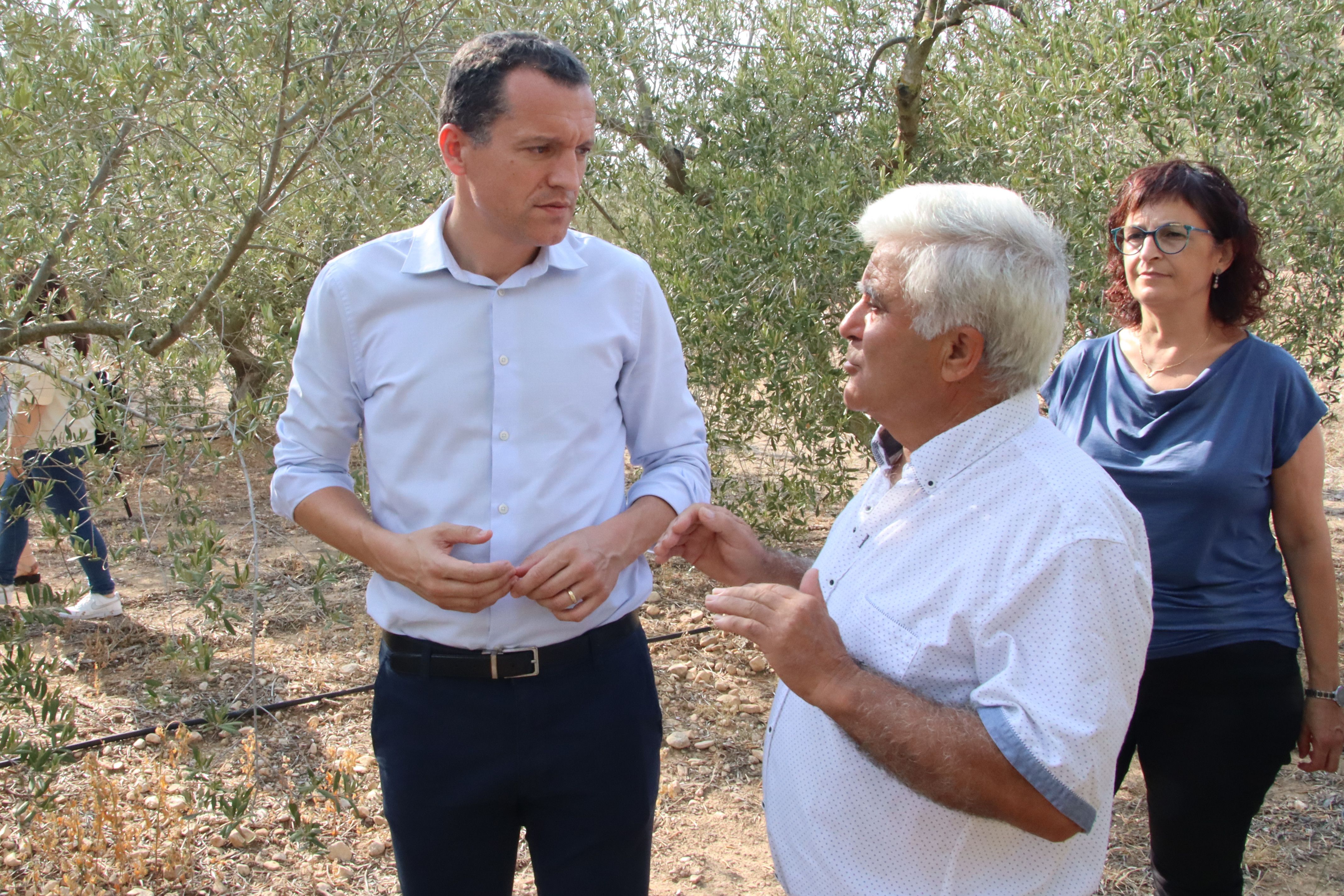 El consejero de Agricultura, Òscar Ordeig, con el presidente de la Cooperativa de Cabacés, José Antonio Robles, durante la visita a una finca de olivos | ACN