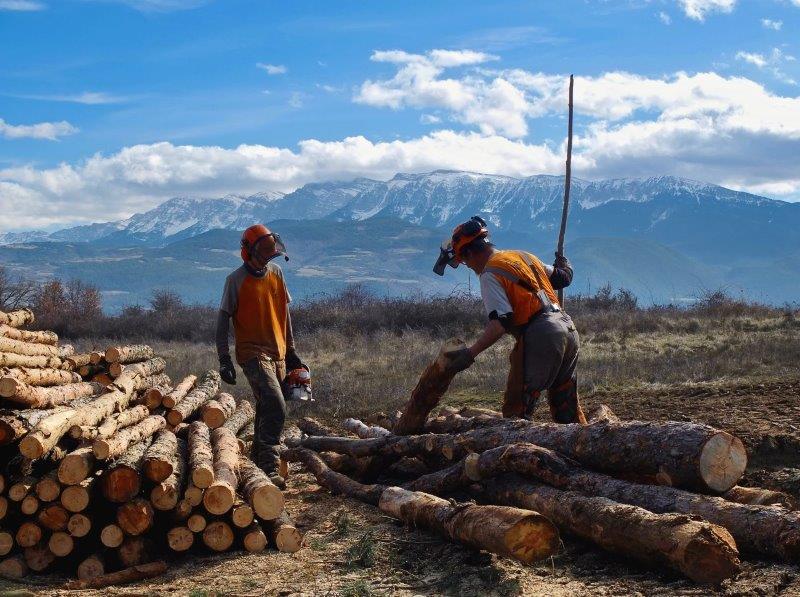 Dos trabajadores de Integra Pirineus | Cedida