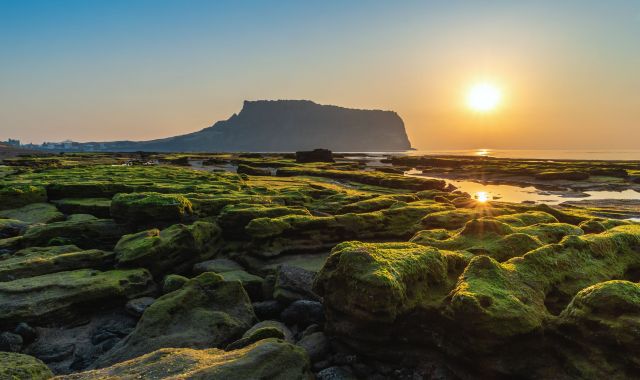 La isla de Jeju situada al sur de la península coreana, tiene una superficie de aproximadamente 1.848 kilómetros cuadrados | iStock