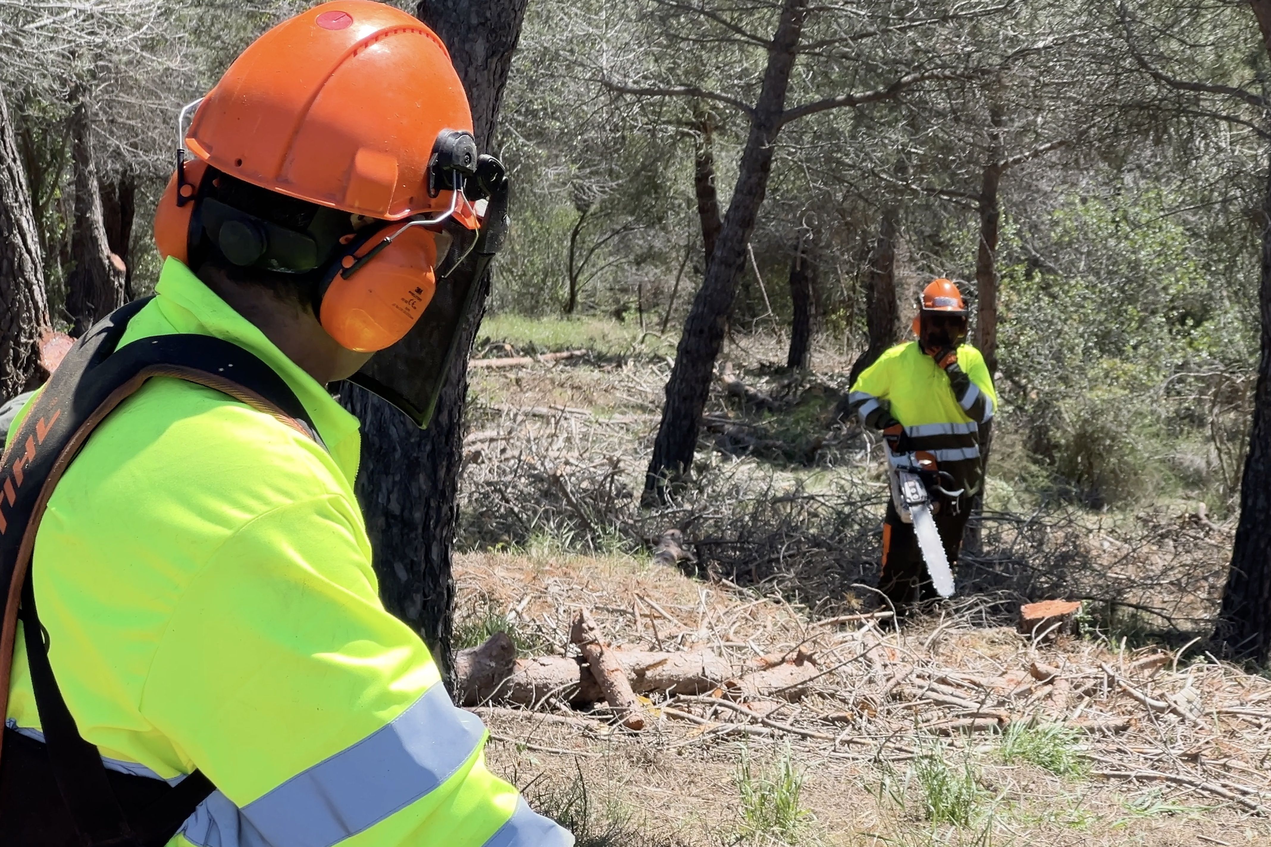 L’empresa catalana COMSA analitza l’estat de la vegetació a través d’imatges de satèl·lit | ACN