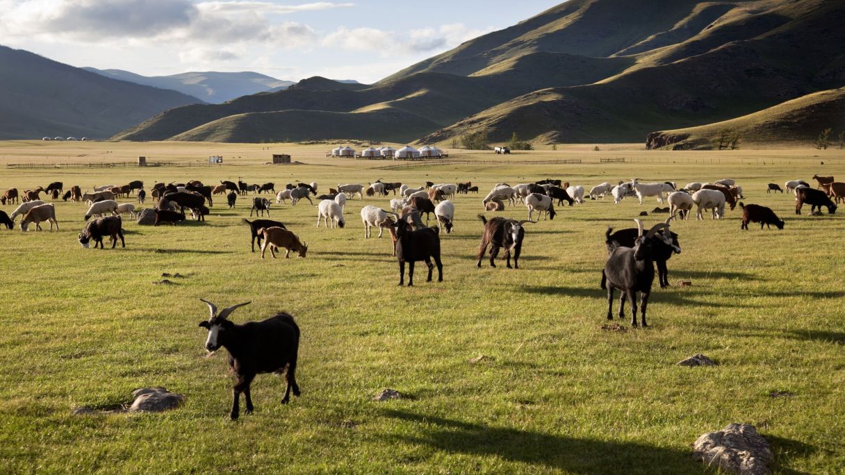 El major creixement de l’ocupació en termes absoluts es donarà entre els treballadors de primera línia, com agricultors i ramaders