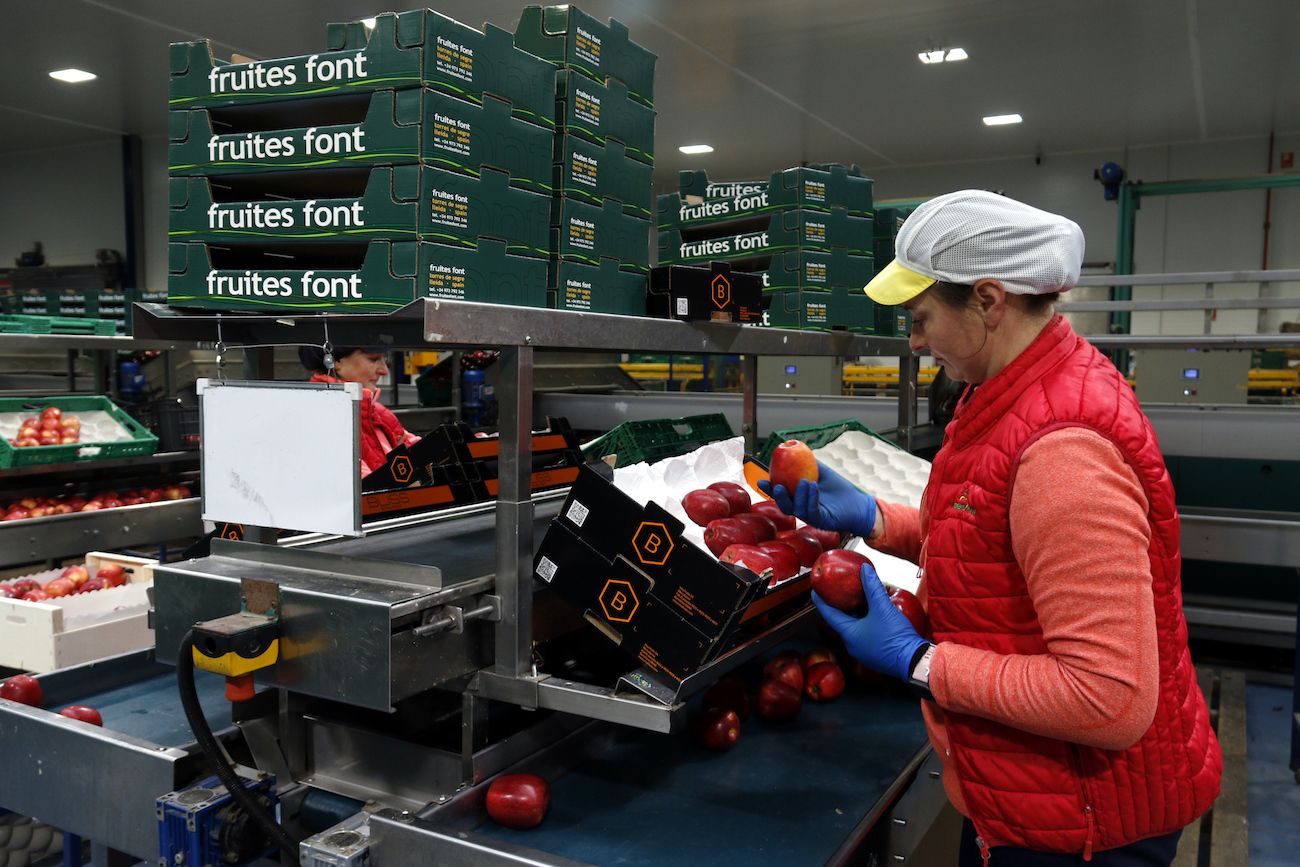 El sector de la fruita genera una gran ocupació a Lleida | Cedida