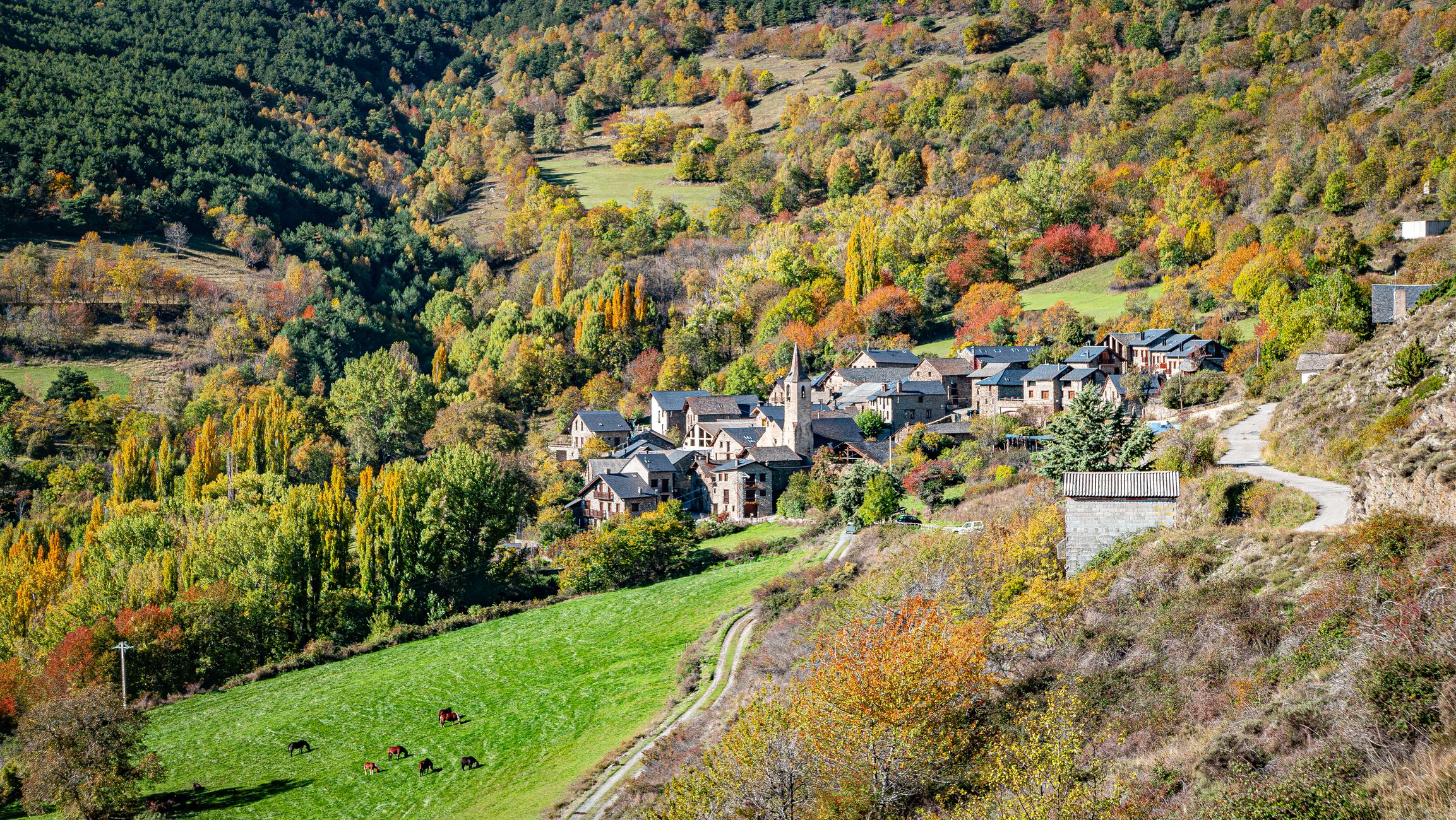 Jou és un poble del terme municipal de la Guingueta d'Àneu | iStock