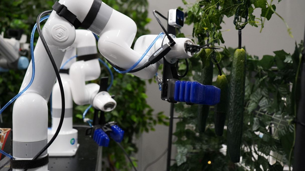 Un robot d'Eurecat | Cedida Un robot d'Eurecat | Cedida