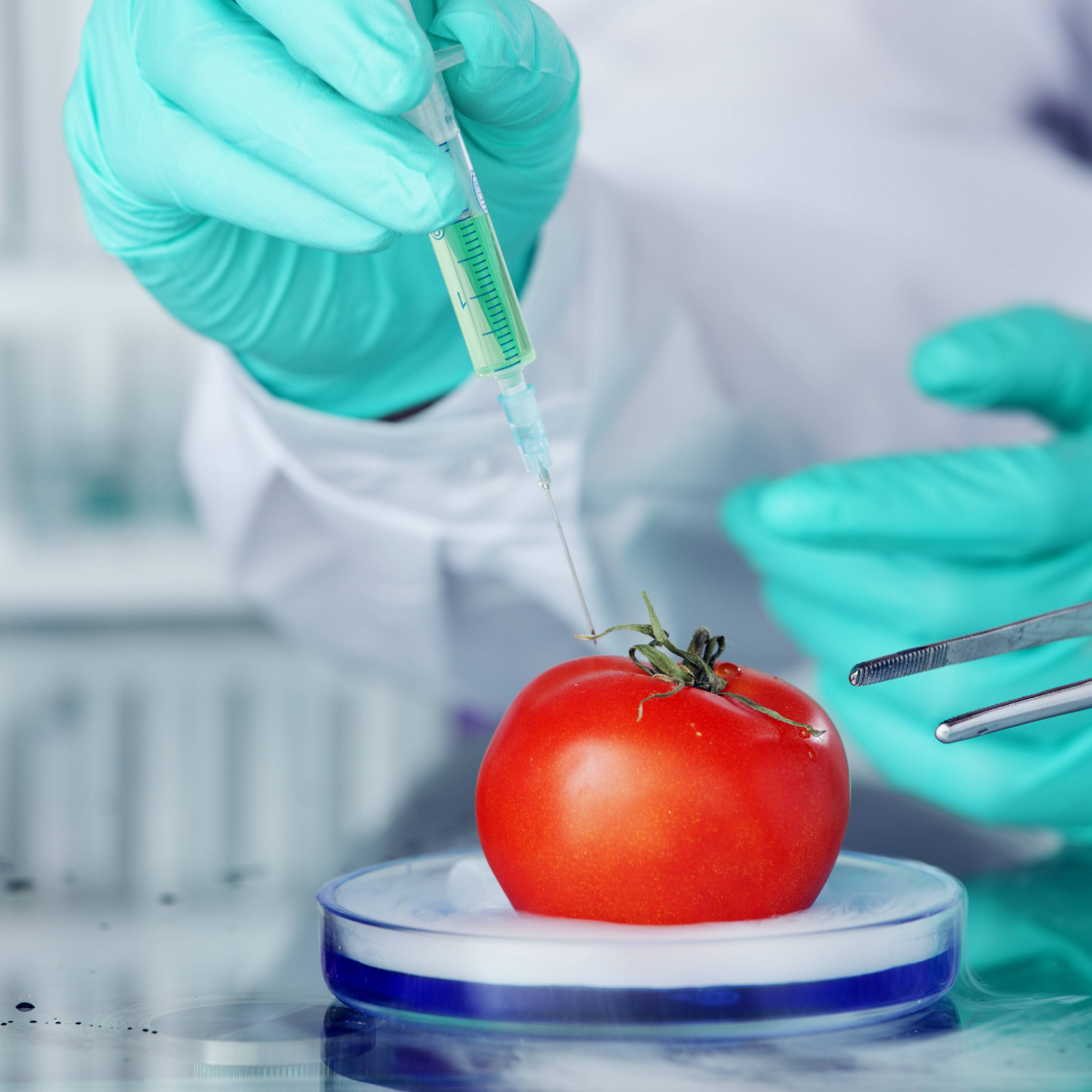 Investigación alimentaría