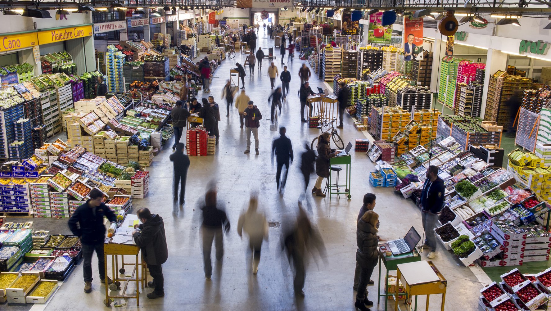 actuals instal·lacions del mercat de fruites i hortalisses a Mercabarna