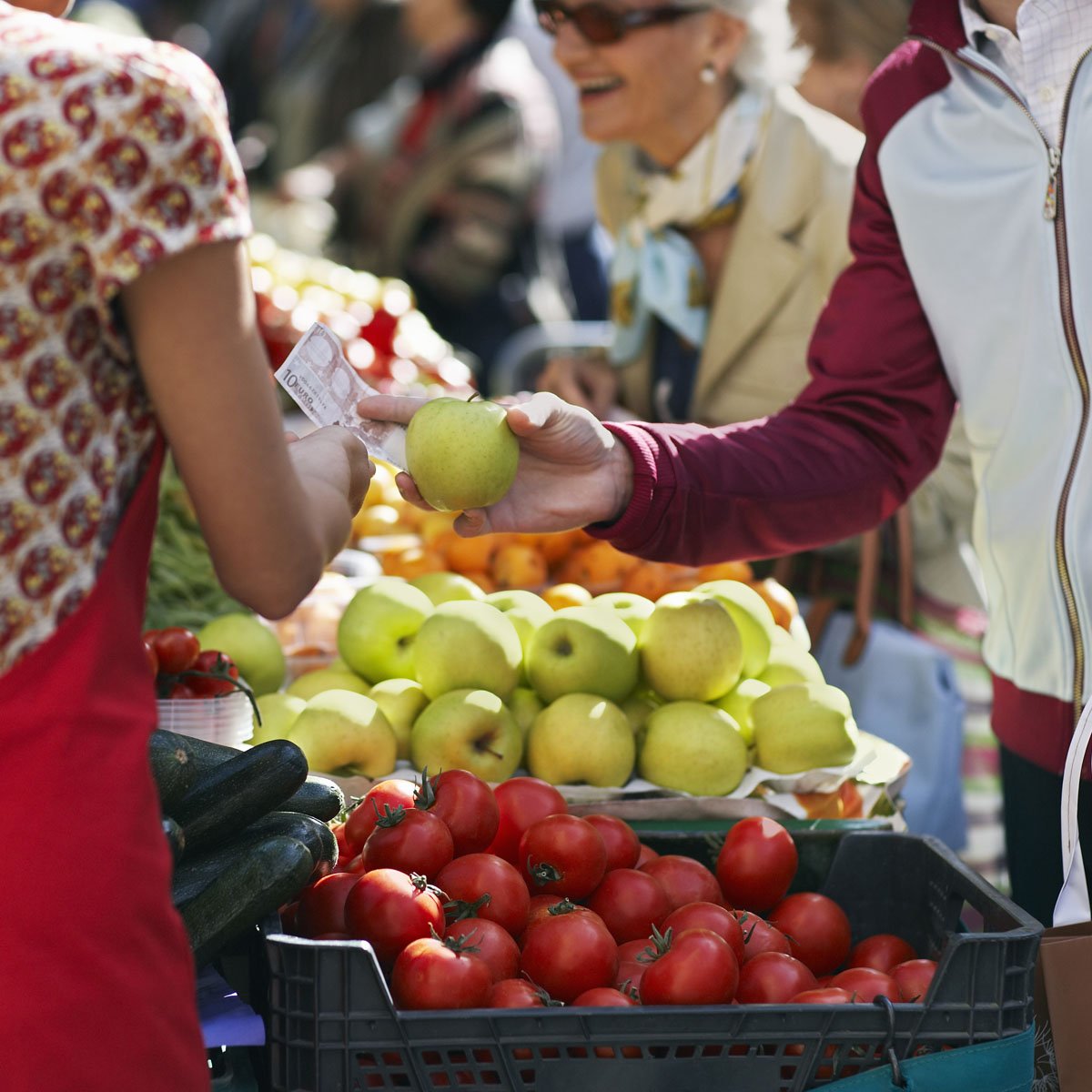 El programa donarà un cop de mà a les empreses locals