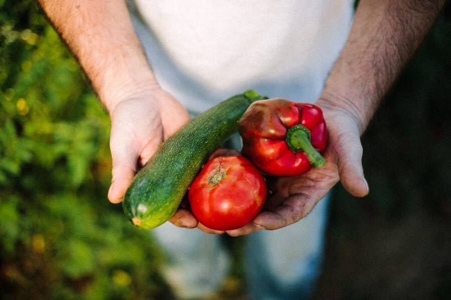  El concepte de sobirania alimentària ha estat emprat com a estratègia defensiva davant les importacions de tercers països | iStock 