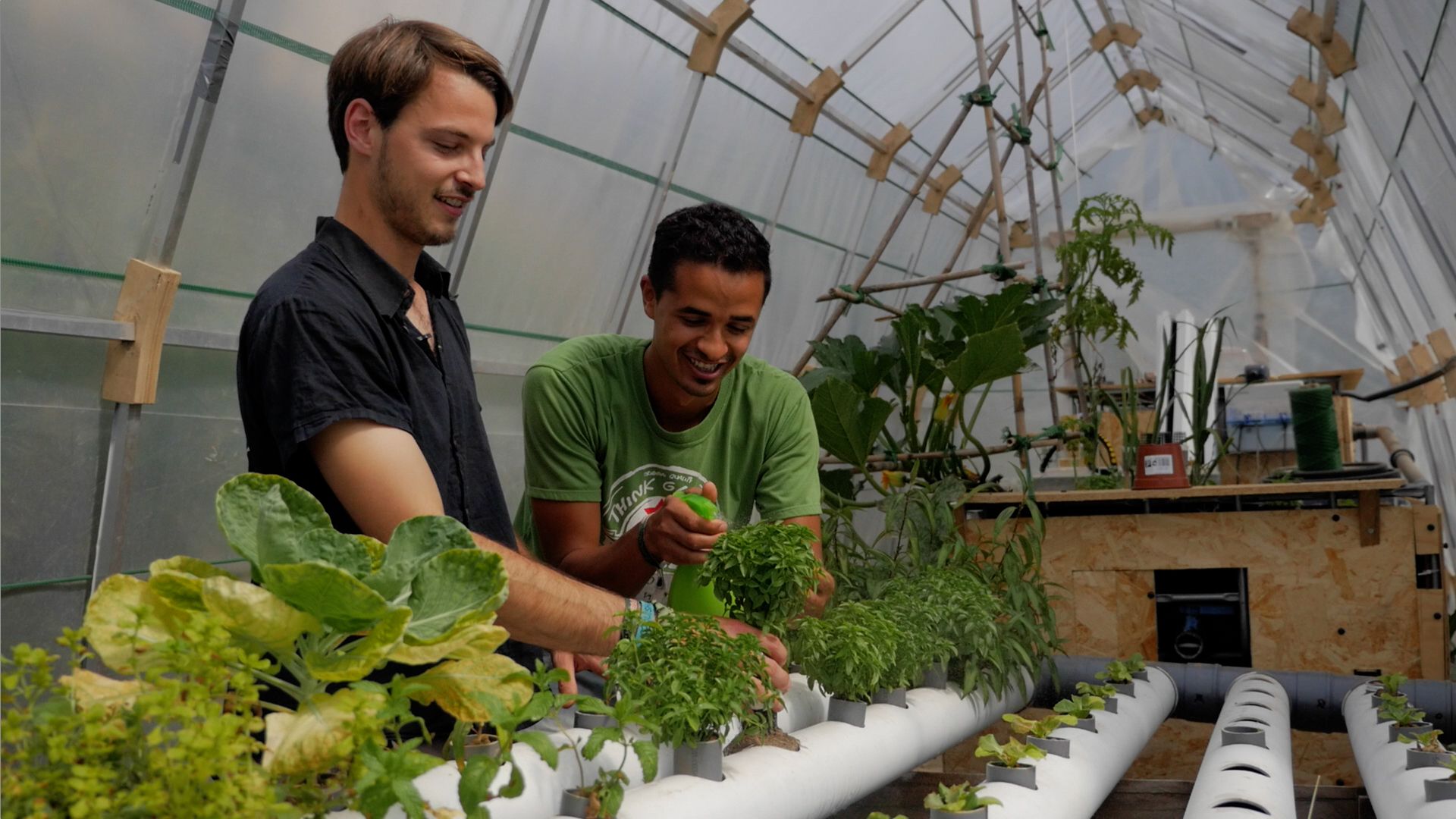 In the greenhouse, they have grown more vegetables to demonstrate that another type of agriculture is possible | Ceded