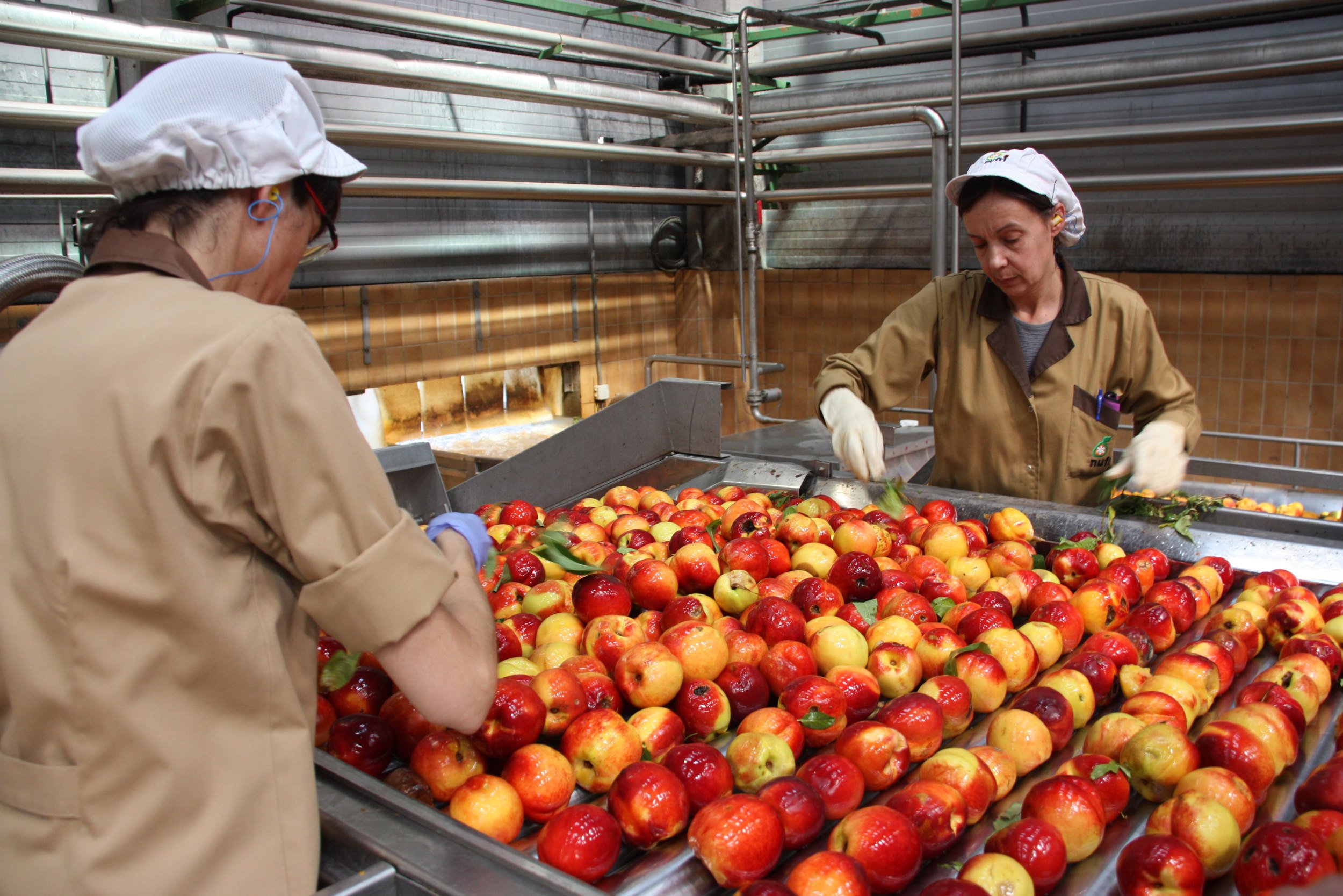 Les cooperatives no veuen amb bons ulls el nou pla de la UE