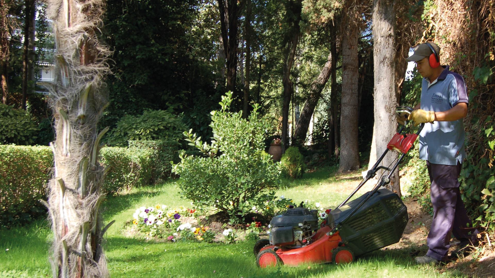 La jardineria és un dels sectors que ha donat feina als participants de la iniciativa