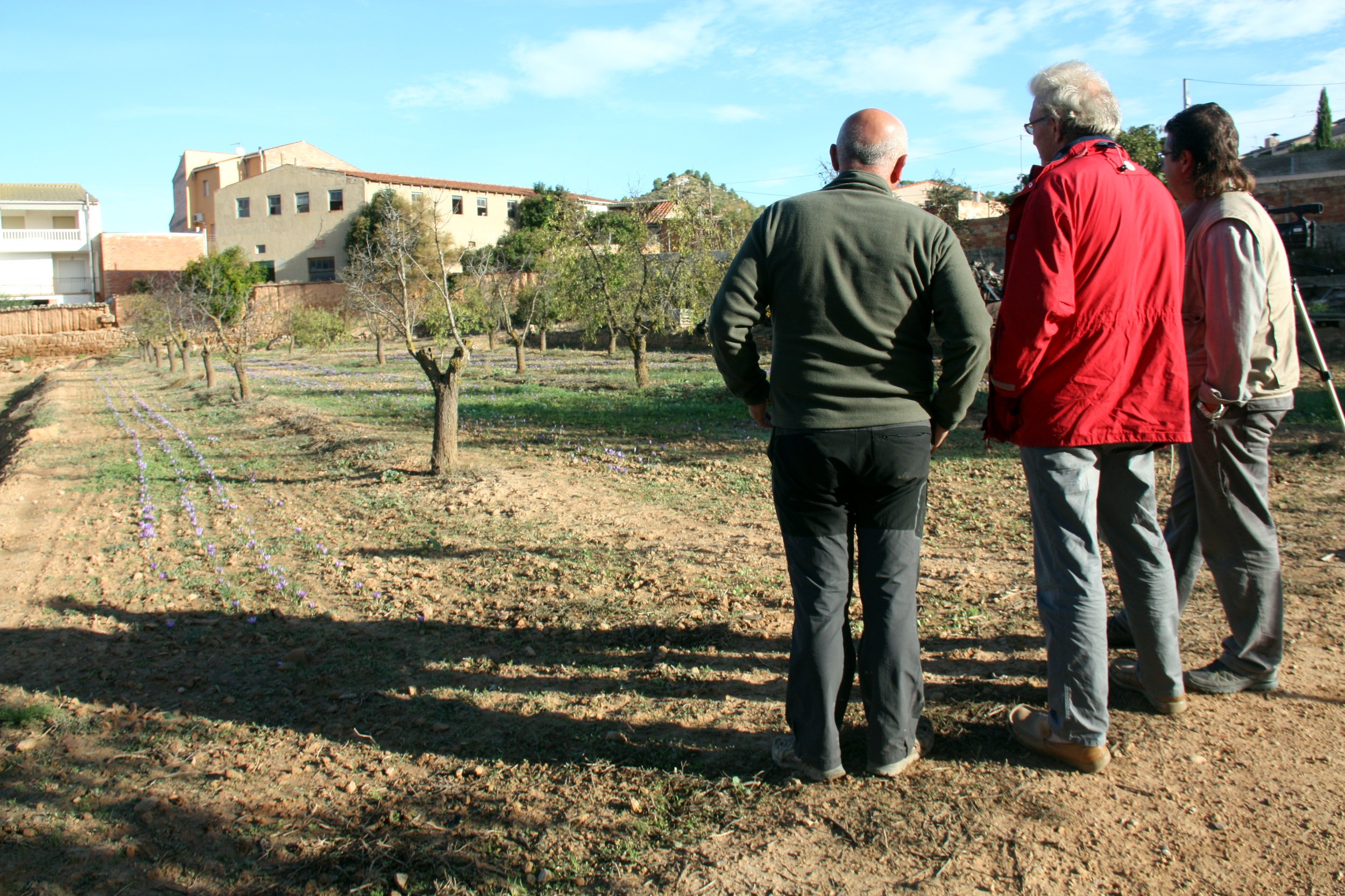 Les cooperatives catalanes creixen