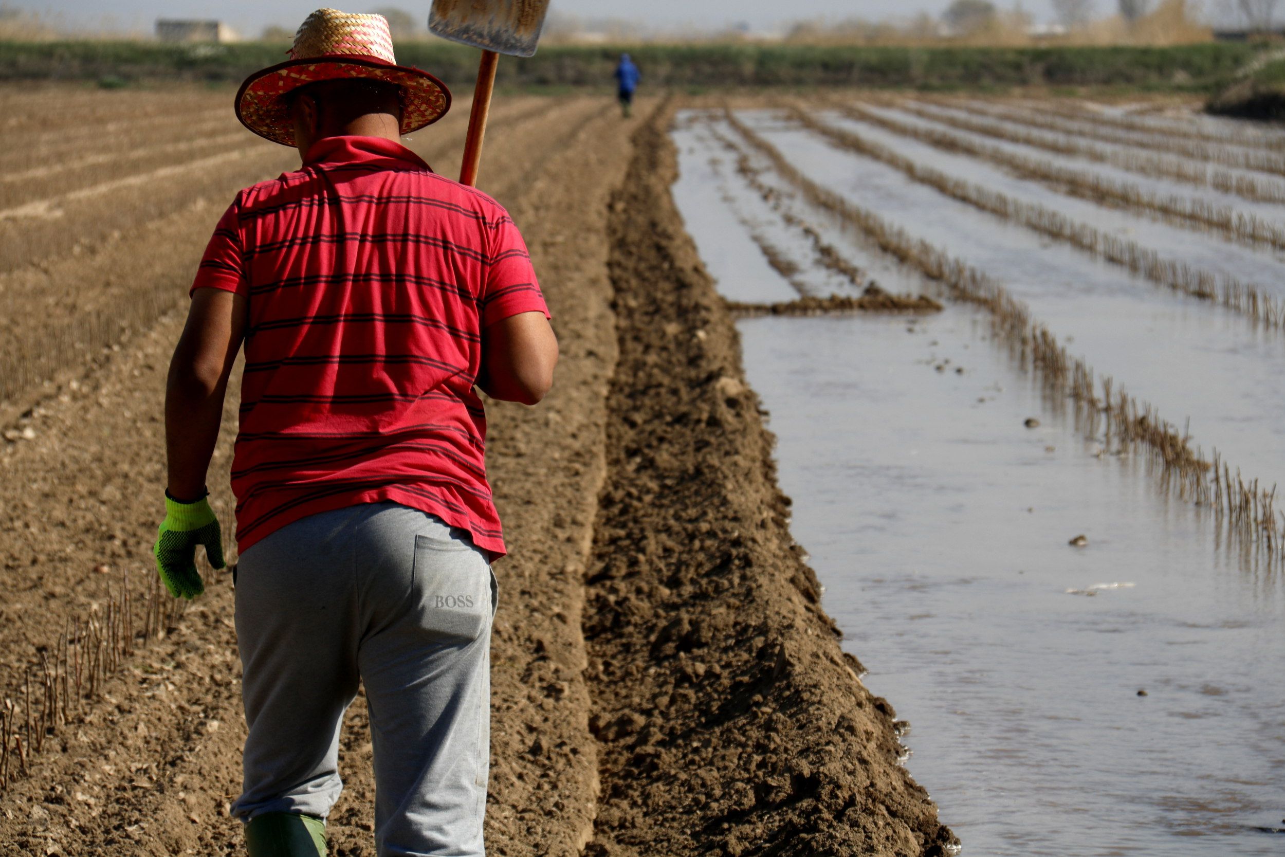 Visual Green ayuda se labradores a mejorar la gestión de sus cultivos