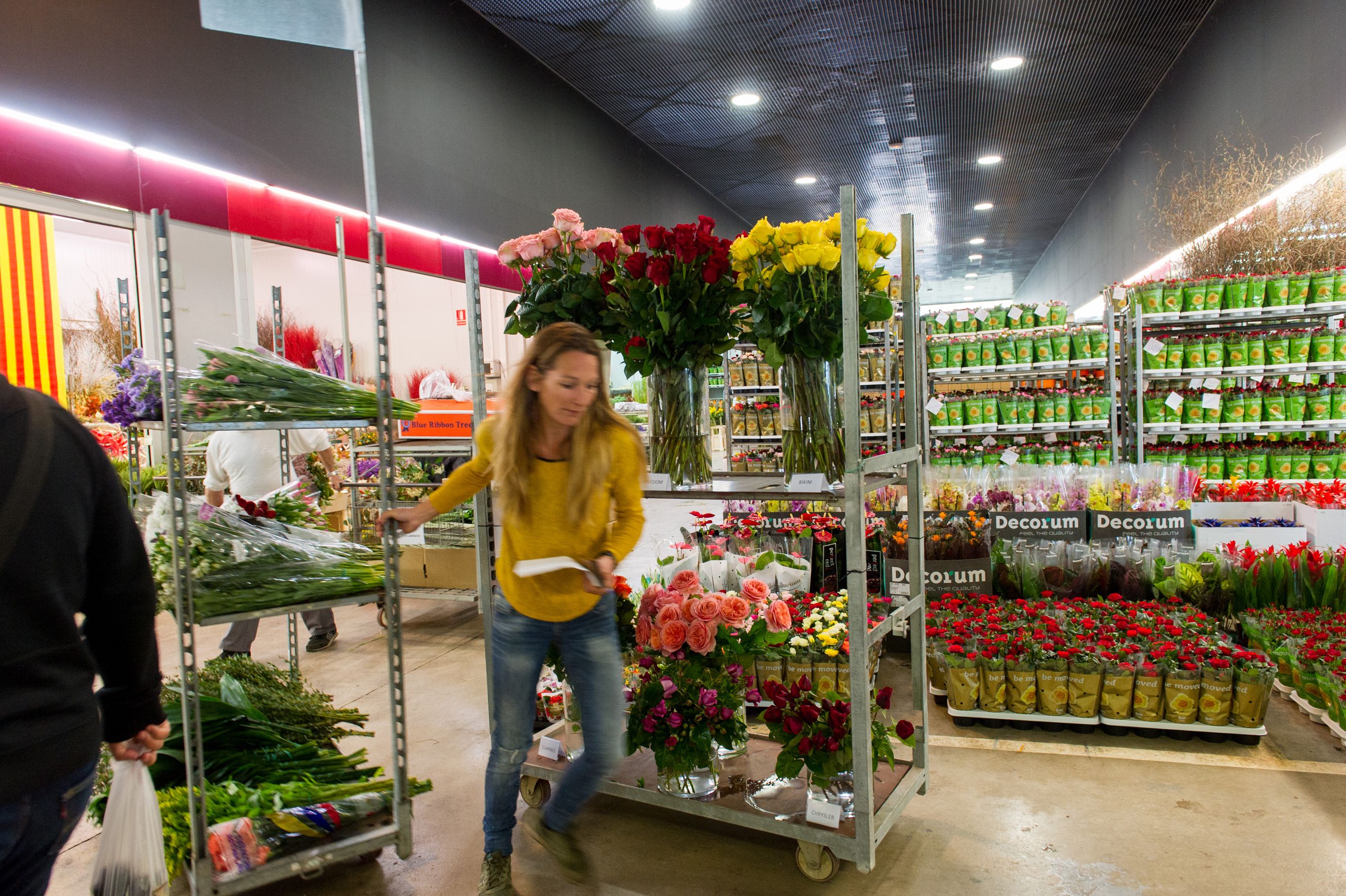 Una florista comprant roses a Mercabarna flor