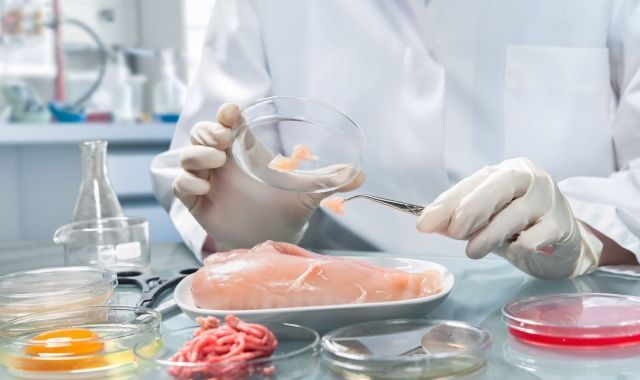 The production of in-vitro products will be the end of food as we know it today