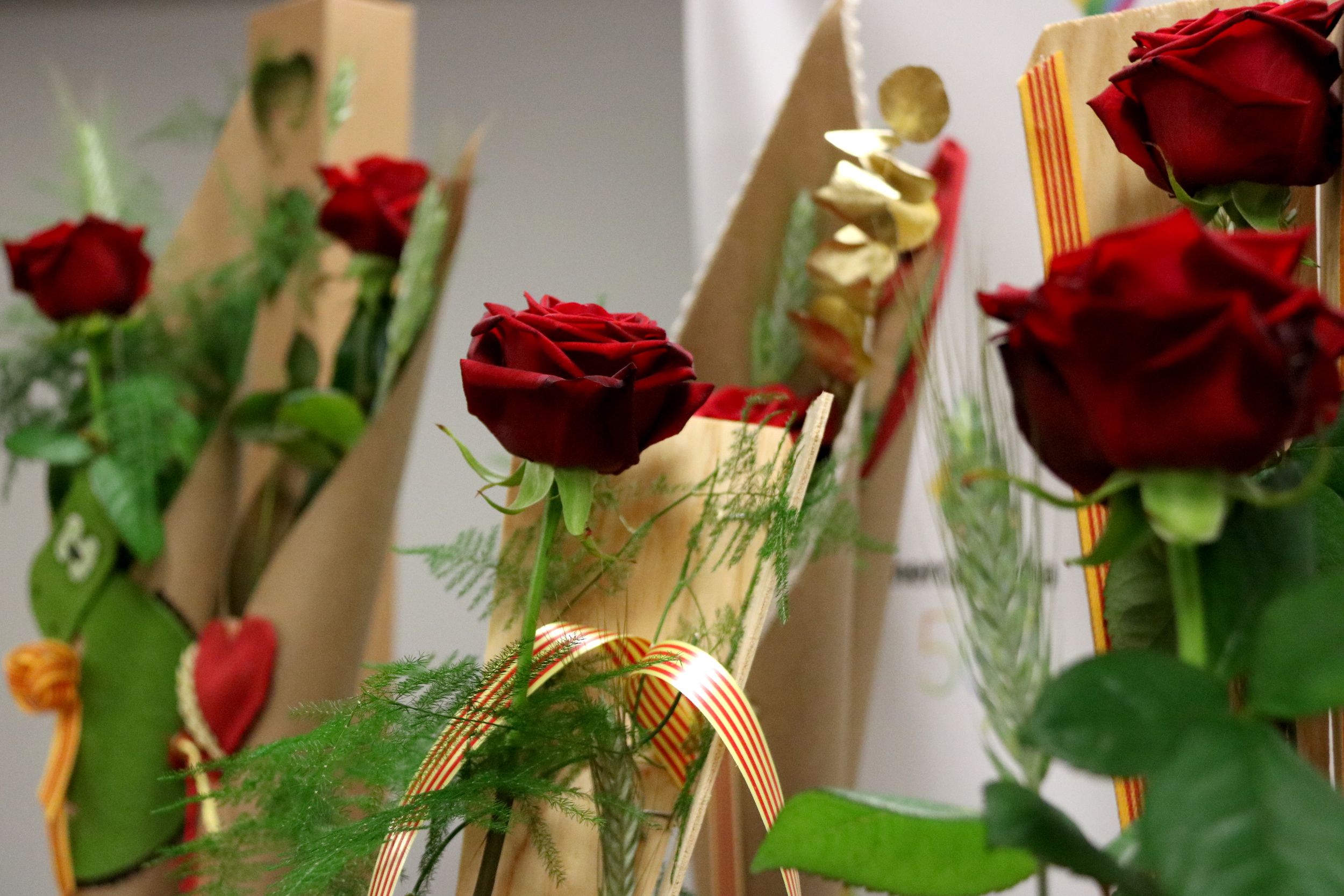 Sant Jordi: de donde vienen las rosas?