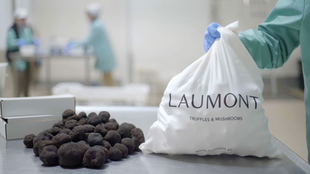 La tòfona negra és el principal producte de Laumont | Cedida 