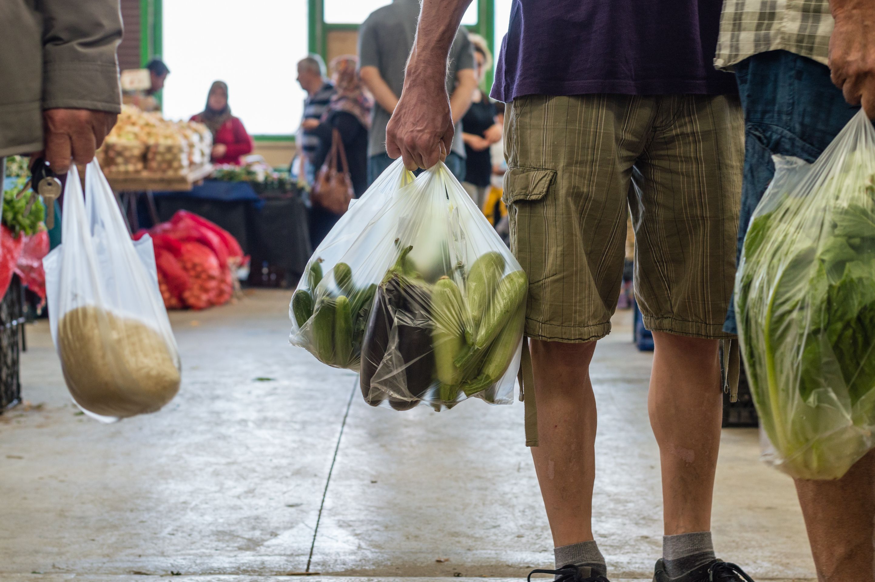 Plastic is present in food, clothing and transport