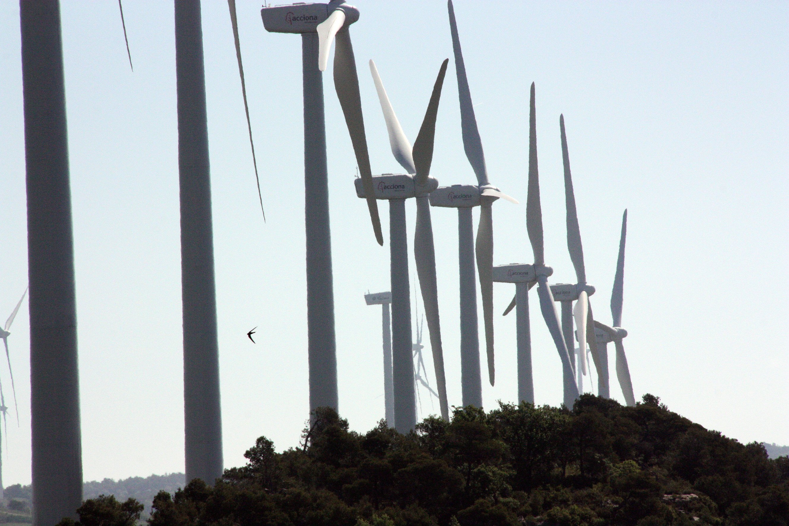 Los aerogeneradores del parque eólico de la Sierra del Cortado.